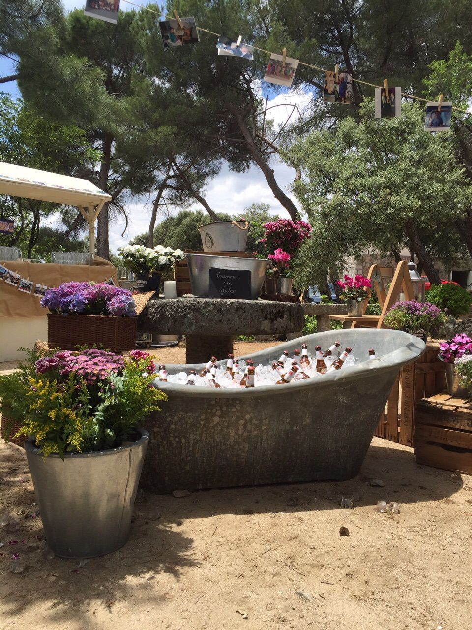 Foto de la finca